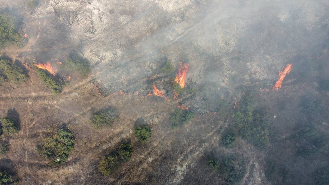Bilecik'te orman yangını! Havadan ve karadan müdahale ediliyor - Resim: 7